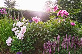 The Natural Way To Keep Weeds Out Of Your Lawn Martha Stewart