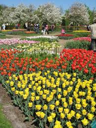 «you yourself, as much as anybody in the entire universe, deserve your love and affection». Flower Garden Keukenhof Tania S Suitcase