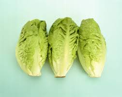 Check spelling or type a new query. 16 Types Of Lettuce Varieties