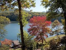 Vrbo Com 238473ha Cabin 1 At Silver Bay View Cottages On Smith Mountain Lake Lake Vacation Rental Bay View Smith Mountain Lake