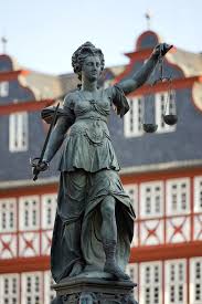 Image result for Justicia nuttii