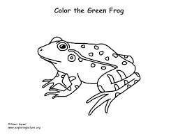 Frog coloring page is the perfect template to go for if you want to teach your children about frogs. Frog Green Coloring Page