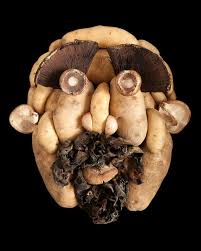 Fresh Faces Les Portraits En Fruits Et Legumes Par Emily Dryden Et Zahyde Pietri Graine De Photographe The Blog En 2020 Fruits Et Legumes Recette Bio Art Alimentaire