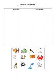 Work sheet on introduction to inverta brate. Vertebrate And Invertebrate Exercises Esl Worksheet By Yovily23