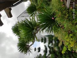 We serve only the freshest and finest ingredients. House Of Seafood Punggol Dan Changi Airport