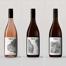 Image result for Gris 1995 Fleet