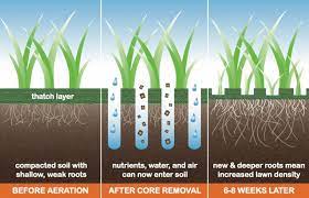 Lawn aeration is the process in which you perforate the soil to allow in water, air, and nutrients to reach the roots tip: Lawn Aeration Basics Tools And Tips Times Square Chronicles
