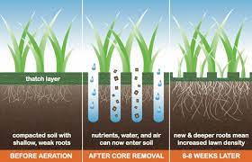 Lawn aeration is the process in which you perforate the soil to allow in water, air, and nutrients to reach the roots tip: Lawn Aeration Basics Tools And Tips Times Square Chronicles