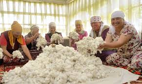 The cotton industry is also one of the dirtiest industries in the world. Cotton