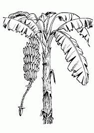 If i would be a child i would print and color it too. Banana Tree Coloring Page Coloring Home