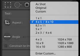Add text watermarks in lightroom desktop. How To Crop In Lightroom In 2021 Beginners Guide