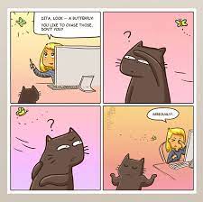 10 Comics That Purrfectly Capture Life With Cats Cat Comics Funny Cats Crazy Cats