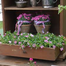 Sommerblumen Terrasse Balkon Blumen Pflanzen Gartenidee Gartendesign Sommerblumen Gartenbeet Pflanzenliebe Plants In 2020 Garten Ideen Sommerblumen Garten