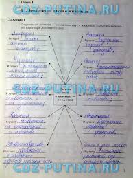кроссворд по физике 7 класс с вопросами и ответами Gdz Po Biolog 7 Klass Bullet Journal Journal