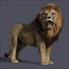 3ds Max Cat Feline Cat Feline Feline Animals