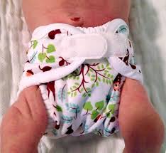 Thirsties Diaper Covers