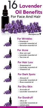 Lavender oil is the oil extracted from these old herbaceous plant called lavandula angustifolia, mostly known as lavender. 27 Best Lavender Oil Uses Ideas Oil Uses Oils Essential Oils