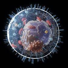 Basic structural unit of all organisms: Cancer Tiny Diamonds In Cells Could Help To Understand Development Process