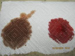 May 02, 2021 · some vehicles are compatible with automatic transmission fluid. Brown Transmission Fluid Tacoma World