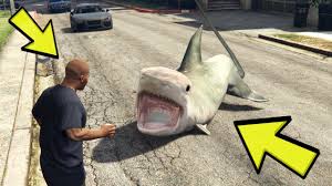 Kopek Baligini Evcil Yaptim Top Oynadik Gta 5 Mods Youtube