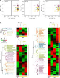 Distinct Human Gut Microbial Taxonomic Signatures Uncovered With Different Sample Processing And Microbial Cell Disruption Methods For Metaproteomic Analysis Biorxiv