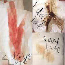 Maybe you would like to learn more about one of these? Implantation Bleeding Or Period Help Chances Of Being Pregnant Babycenter Canada