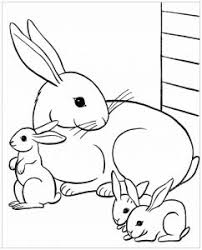 Free, printable coloring pages for adults that are not only fun but extremely relaxing. Rabbit Free Printable Coloring Pages For Kids