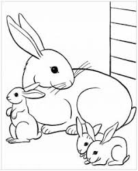 Free printable bunny rabbit coloring pages. Rabbit Free Printable Coloring Pages For Kids