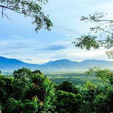 Cagar alam rawa danau atau rawadano adalah sebuah kawasan yang terletak di kabupaten serang, dan berjarak 101 km dari jakarta. Pesona Alam Rawa Dano Salah Satu Potret Keindahan Alam Yang Ada Didaerah Banten Khususnya Di Pesona Alam Rawa Dano Salah S Natural Landmarks Landmarks Nature