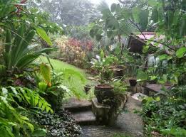 Kampung sungai semungkis, 43100 hulu langat, selangor facebook | instagram. Compound Of The Bothy Picture Of Taman Sari B B Hulu Langat Tripadvisor