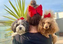 Komedi som är 👌🏽 @sarayoung75 @wimanjohan… Hur Sota Ar Dom Inte Da