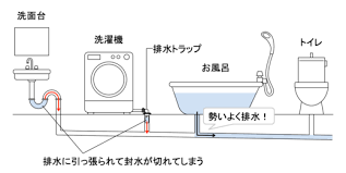 カクダイの洗濯機用排水トラップの選び方 製品比較と排水口寸法の対応まとめ 金のなる木で大家生活 排水トラップ セルフリフォーム カクダイ