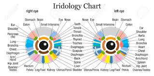 12 Best Iridology Charts Left Eye Chart Right Eye Chart