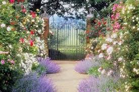 Aesthetic pictures nature aesthetic fairy tales scenery garden fairy garden landscape dream garden cottage. Dream Garden Site For Everything
