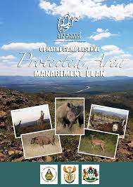 Image result for Zornia punctatissima