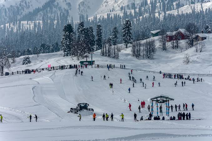 Gulmarg flower meadow Kashmir