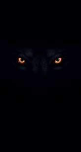 Lihat, menggambar, mewarnai, kucing, gambar, kartun, hitam, putih, name : Wida Widut Widababarsari Profil Pinterest