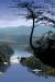 3d Nature Wallpaper Animation