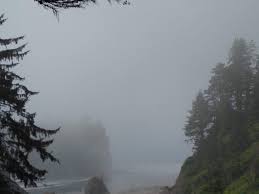 Olympic national park, ecologically diverse area occupying much of the olympic peninsula in northwestern washington, u.s. Best Rainy Day Hikes In Olympic National Park Ordinary Adventures
