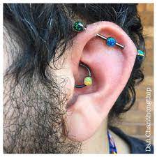 Danchanthongthip Guys Ear Piercings Cool Ear Piercings Cute Ear Piercings