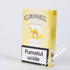 The camelids, as a family, include the new world camelids: Buy Camel Blue Cigarettes Online Camel Cigarettes Cigsspot