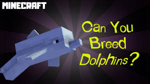 What Do Dolphins Eat In Minecraft?