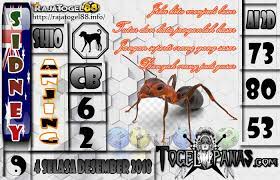 Togel Panas Erek Erek Erek Erek Prediksi Jitu 4d Singapore Live 4d Hari Ini Keluar Aki Wilson Bagaimana Membedah Syair Bedah 4 Desember Desember Galeri