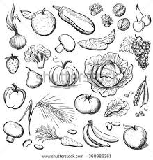Hand Drawn Healthy Eating Fruit Sketch Food Drawing Easy Food Sketch