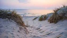 Image result