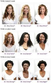 The general hair types are straight, wavy, curly, and coily. 31 Charts That Ll Help You Have The Best Hair Of Your Life Hair Chart Curly Hair Styles Naturally Types Of Curls