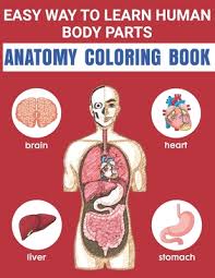 That is why it makes sense to use fun games and activities to hammer in the body parts. Easy Way To Learn Human Body Parts Anatomy Coloring Book Easy Way To Learning Anatomy For Kids Over 50 Human Body Coloring Book Great Gift For Boys Paperback Chapters Books