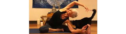 Maybe you would like to learn more about one of these? Shanti Kitti Yoga Oceanside Ca Alignable