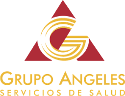 Logo vector included sign vector, logo vector, symbol vector and more. Grupo Logo Vectors Free Download