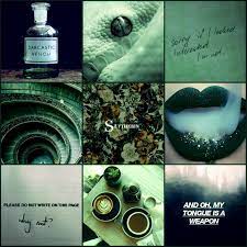 Find and save images from the slytherin aesthetic collection by beauty&fashion (fashion067) on we heart it, your everyday app to get lost in what you love . Slytherin Aesthetic By Thecrownofwinter On Deviantart